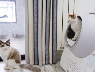 Top 5 Automatic Self Cleaning Litter Box for Cats At Litter Robot
